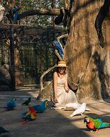 Wonderland Suites and Resort