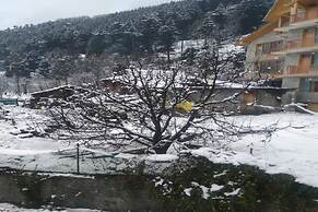 Antriksh Cottage Manali