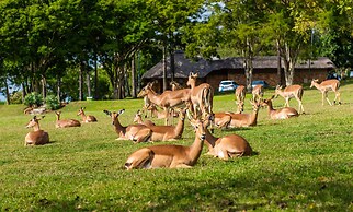 Kruger Park Lodge Unit No. 441
