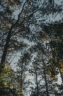 Phu Morinn Cafe & Camping