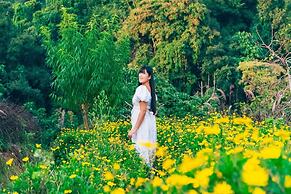 Phu Morinn Cafe & Camping