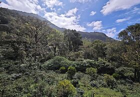 Ibex Resorts, Valparai (Mistly)