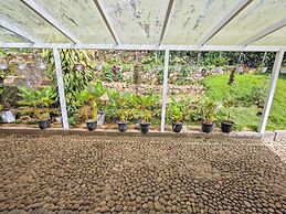 Ibex Resorts, Valparai (Mistly)