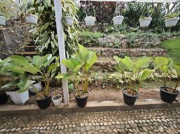 Ibex Resorts, Valparai (Mistly)