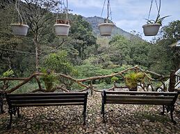 Ibex Resorts, Valparai (Mistly)