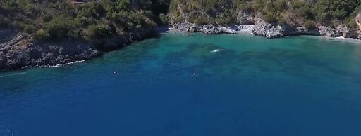 I FIORI DI DONNA ESTER