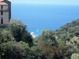 I FIORI DI DONNA ESTER