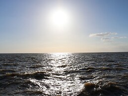 Harvey's Holiday House