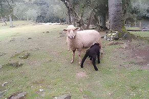Cabana Pequeno Bosque Com Vista - o Rio, à 15 km da cidade