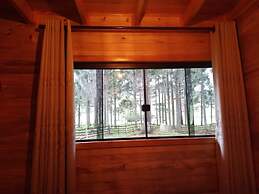 Cabana Pequeno Bosque Com Vista - o Rio, à 15 km da cidade