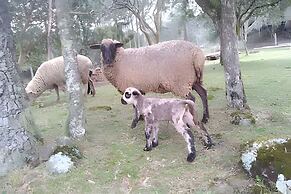 Cabana Pequeno Bosque Com Vista - o Rio, à 15 km da cidade