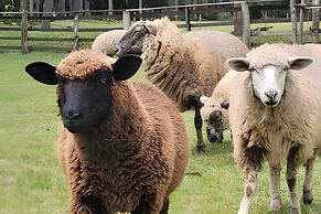 Cabana Pequeno Bosque Com Vista - o Rio, à 15 km da cidade
