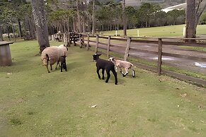 Cabana Pequeno Bosque Com Vista - o Rio, à 15 km da cidade