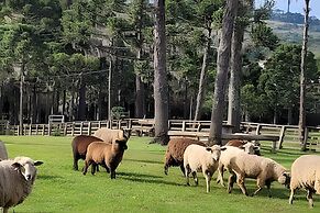 Cabana Pequeno Bosque Com Vista - o Rio, à 15 km da cidade
