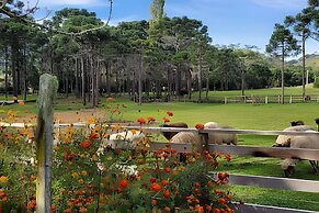 Cabana Pequeno Bosque Com Vista - o Rio, à 15 km da cidade