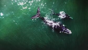 Pousada Villa Agrifóglio