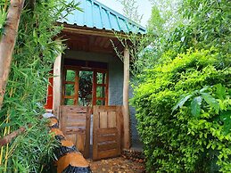 Bwindi My home