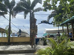 yohan bi-chi and daibu rizo-to