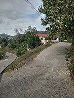 Near Ferry, Airport, Shops, Beaches, Atms, Rodney Bay and Castries - F