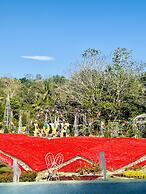 Jardin De Ysabelle and Hobbiton Cafe