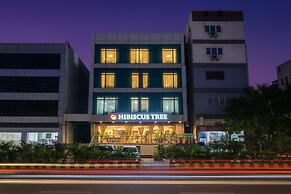 Hotel Hibiscus Tree- Bachupally
