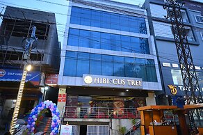 Hotel Hibiscus Tree- Bachupally