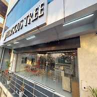 Hotel Hibiscus Tree- Bachupally