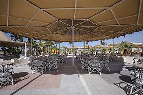 Calimera Blend Paradise