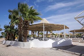 Calimera Blend Paradise