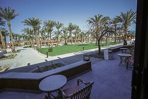 Calimera Blend Paradise