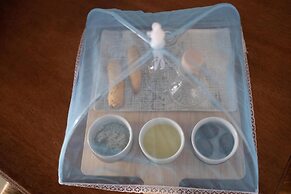 Archontiko Michael Vyzítsa Pelion