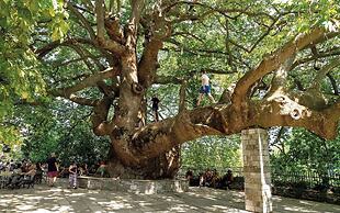 Archontiko Michael Vyzítsa Pelion