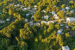 Archontiko Michael Vyzítsa Pelion