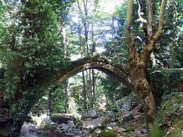 Archontiko Michael Vyzítsa Pelion