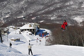 Archontiko Michael Vyzítsa Pelion