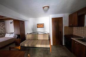 Archontiko Michael Vyzítsa Pelion