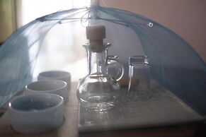 Archontiko Michael Vyzítsa Pelion