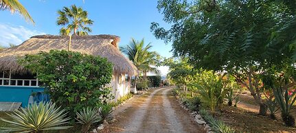 Ocean Oasis Hotel