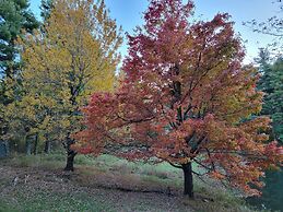 Moonlight Manor Bed and Breakfast