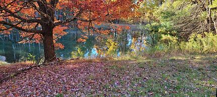 Moonlight Manor Bed and Breakfast