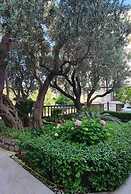 Olive Garden Apartments Petrovic