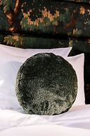 1.75 Paris La Trêve