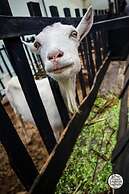 Glamping Laguna Sagrada