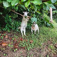 Tierra Adentro Bed & Breakfast