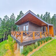 Pouso do Corvo - Grão-Pará - SC