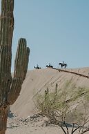 K NAJ Community Glamping