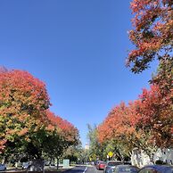 Charming Palo Alto Home Next to Stanford