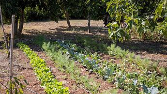 Villa I Mori 4 Emma Villas