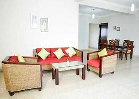 Transtree at Brookfields