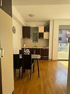 Comfort Apartments Aleksic
